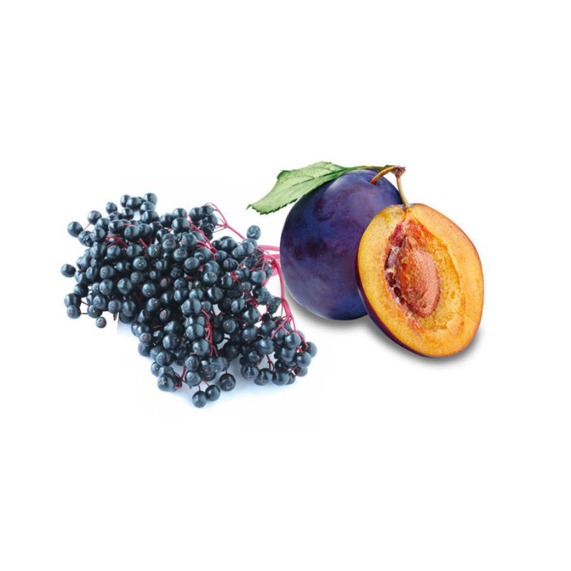 HARVIA dišavni koncentrat za savno, bezeg in sliva 100 ml