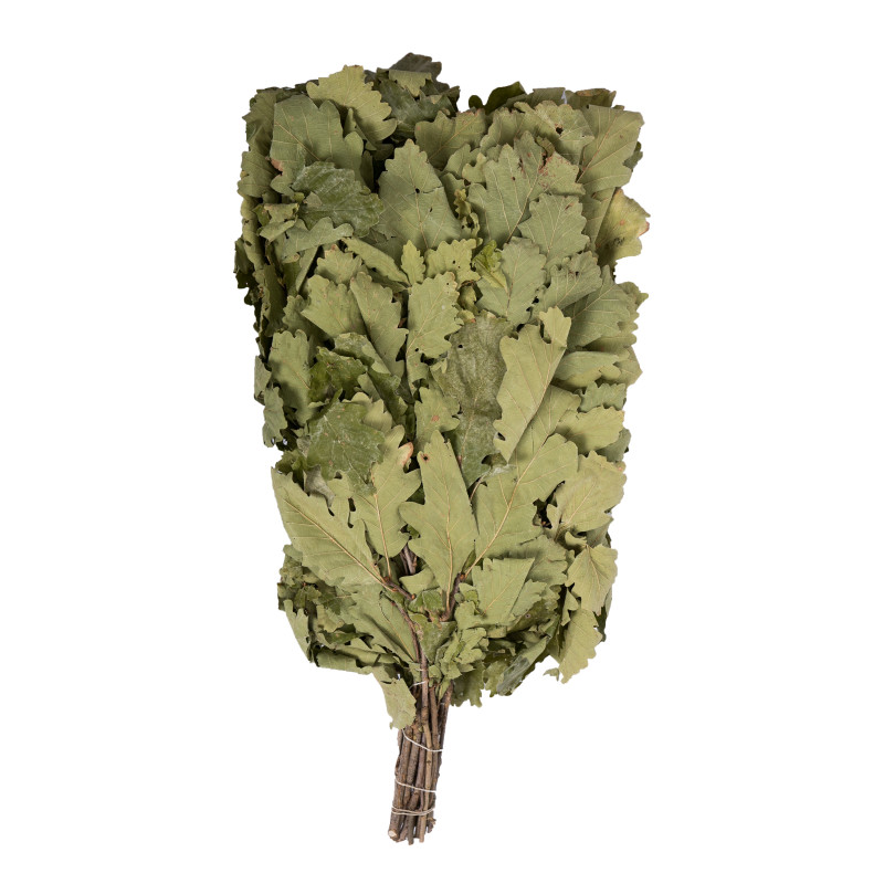 Hrastova metlica za savno