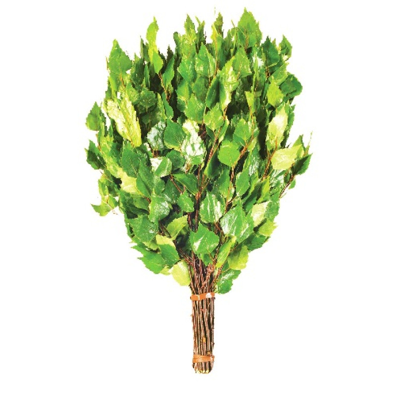 Brezova metlica z zelišči