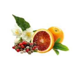 HARVIA dišavni koncentrat za savno, jasmin, krvava pomaranča in poper 1 l 