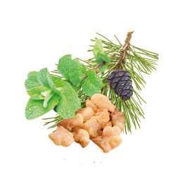 HARVIA dišavni koncentrat za savno, poprova meta, bor, kadilo in mira 1 l 