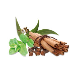 HARVIA dišavni koncentrat za savno, začimbe in meta 1 l 