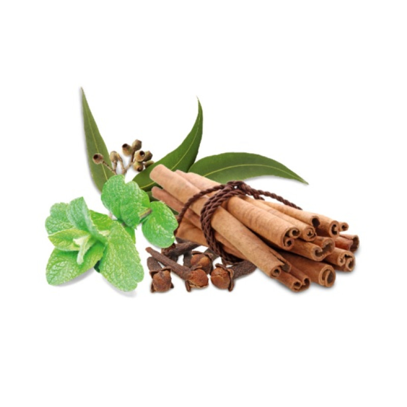 HARVIA dišavni koncentrat za savno, začimbe in meta 1 l