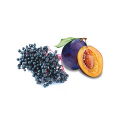 HARVIA dišavni koncentrat za savno, bezg in slive 1 l 